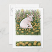 Nog één Apple Briefkaart (Voorkant / Achterkant)