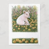 Nog één Apple Briefkaart (Voorkant)