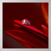 Nog een baksteen in de muur poster (Voorkant)