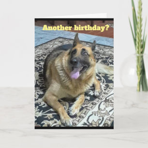 Nog een Birthday German Shepherd Wenskaart Kaart