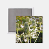 Nog een coole Planten magneet (Voorkant / Achterkant)