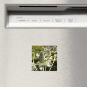 Nog een coole Planten magneet (Insitu (Vaatwasser))