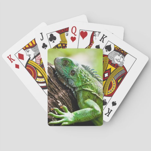 nog een groene dag speelkaarten (Achterkant)