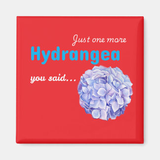 Nog één hortensia-magneet - rood magneet