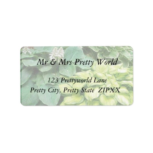 Nog één Hosta! Etiket (Voorkant)