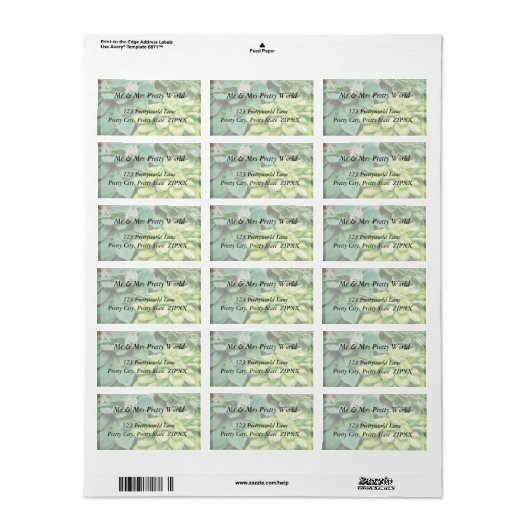 Nog één Hosta! Etiket (Full Sheet)