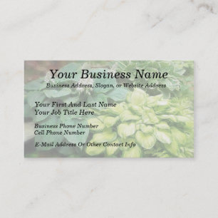 Nog één hosta. visitekaartje