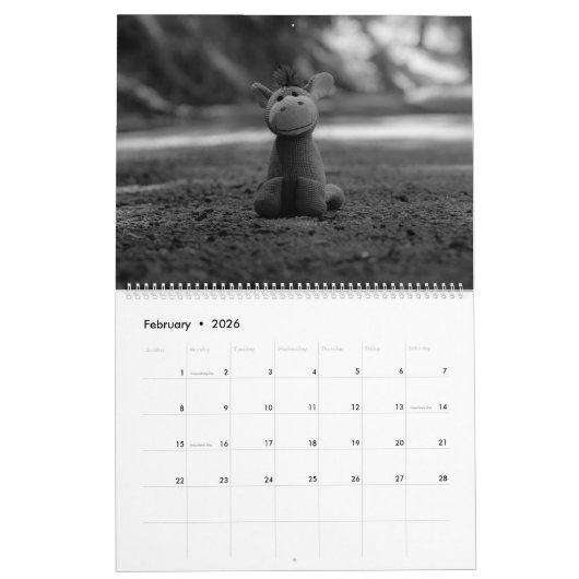 Nog een jaar van Steve Burro Kalender (Feb 2026)