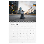 Nog een jaar van Steve Burro Kalender (Jan 2026)