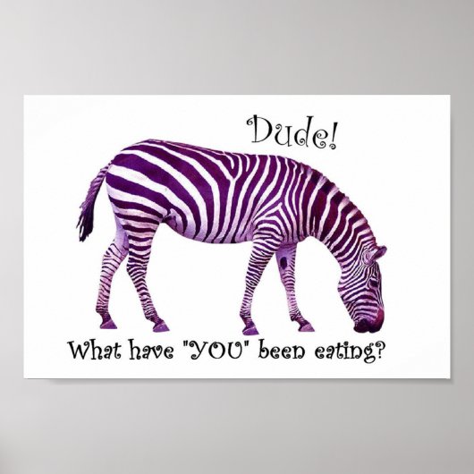 Nog een keer zebra.... poster (Voorkant)