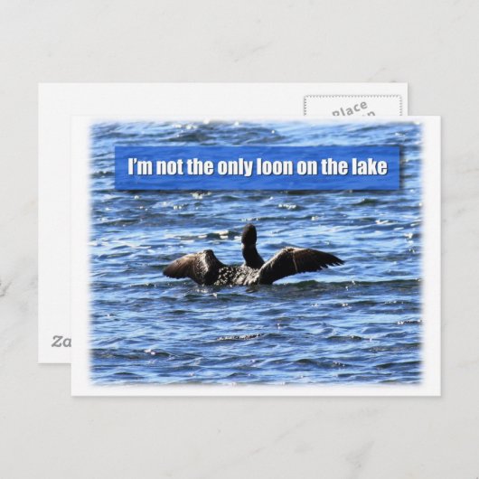 Nog een leoon op het meer briefkaart (Voorkant / Achterkant)