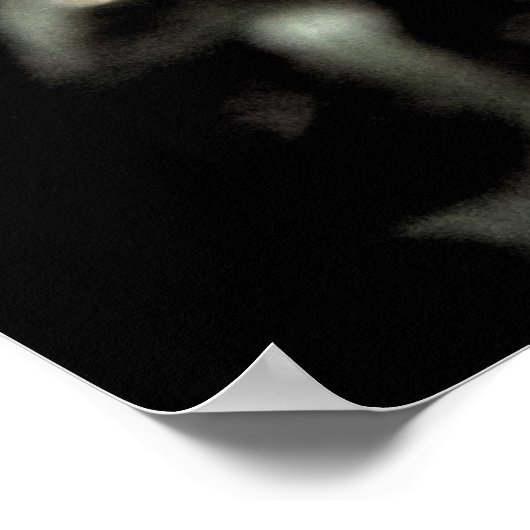 Nog een oranje schot poster (Hoek)