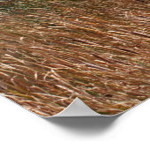 Nog een Poster voor de ochtendpoëzie (Hoek)