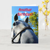 Nog een verjaardag? Funny Horse Wenskaart Kaart (Gele Bloem)