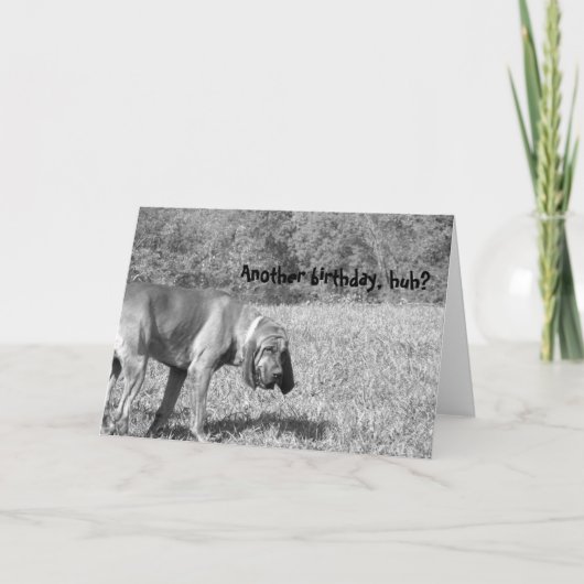 Nog een verjaardag, hè? Hound Dog Birthday Kaart (Voorkant)