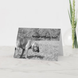 Nog een verjaardag, hè? Hound Dog Birthday Kaart