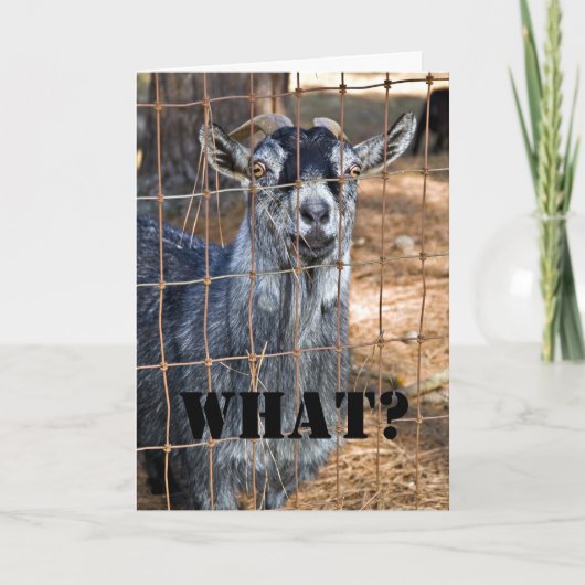 Nog een verjaardag? kaart (Voorkant)