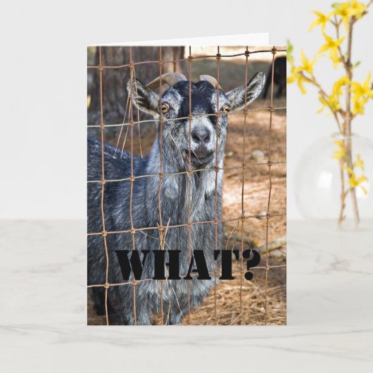 Nog een verjaardag? kaart (Gele Bloem)