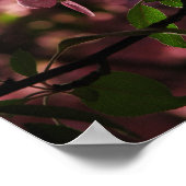 Nog meer kersen poster (Hoek)