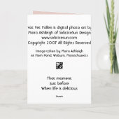 Nog niet Gevallen Kaart (Achterkant)