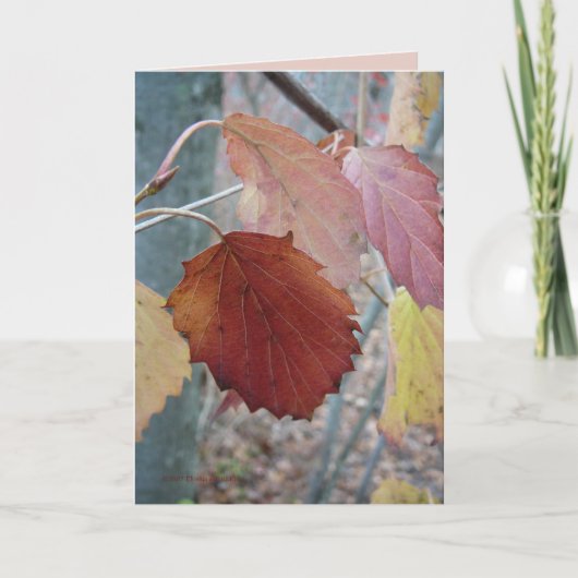 Nog niet Gevallen Kaart (Voorkant)