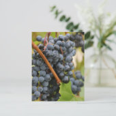 Nog niet in wijn briefkaart (Staand voorkant)