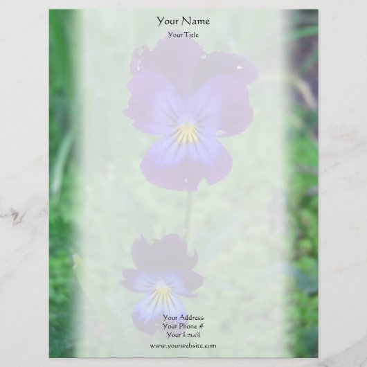 Nog steeds Alive Pansies Letterhead Persoonlijk Briefhoofd (Voorkant)