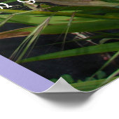 Nog steeds en stille loten in het Wisdom-Poster Poster (Hoek)