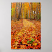 Nog steeds groen, afdrukken poster (Voorkant)