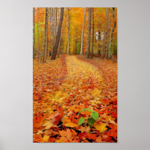 Nog steeds groen, afdrukken poster