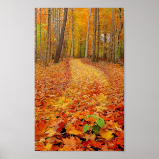 Nog steeds groen, afdrukken poster