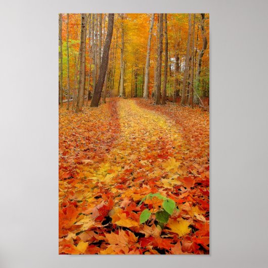 Nog steeds groen, afdrukken poster (Voorkant)