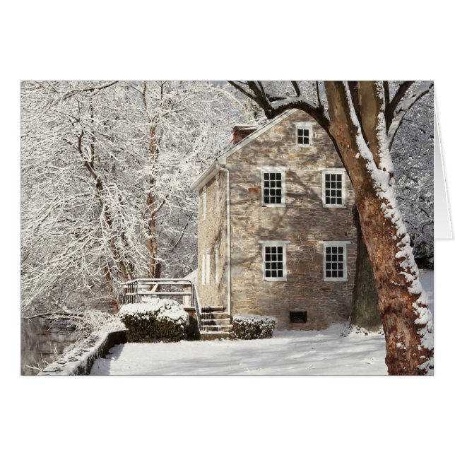 Nog steeds huis met sneeuwbomen (Voorkant Horizontaal)