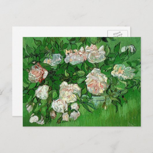 Nog steeds in het leven: Roze rozen van Vincent va Briefkaart (Voorkant / Achterkant)