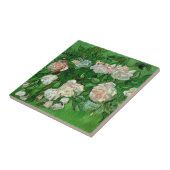 Nog steeds in het leven: Roze rozen van Vincent va Tegeltje (Zijkant)