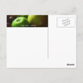 Nog steeds leven briefkaart (Achterkant)