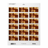 Nog steeds leven met Absinthe door Vincent van Gog Etiket (Full Sheet)