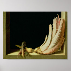 Nog steeds leven met een Cardoon Poster