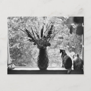 Nog steeds leven met kat briefkaart