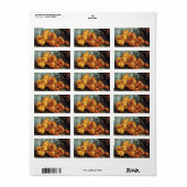 Nog steeds leven met Quince Pears door Vincent van Etiket (Full Sheet)