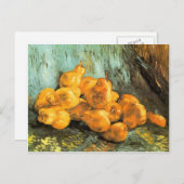 Nog steeds leven met Quinces door Vincent Willem v Briefkaart (Voorkant / Achterkant)