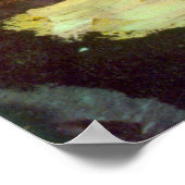 Nog steeds leven met schedel, kaarsje, boek van Pa Poster (Hoek)