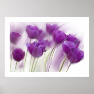 Nog steeds leven op Canvas Poster