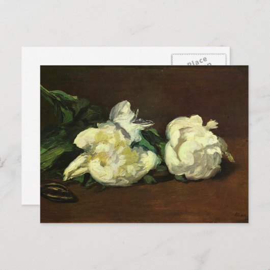 Nog steeds leven, White Peony van Edouard Manet Briefkaart (Voorkant / Achterkant)