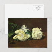 Nog steeds leven, White Peony van Edouard Manet Briefkaart (Voorkant / Achterkant)