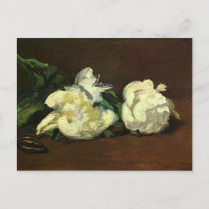 Nog steeds leven, White Peony van Edouard Manet Briefkaart