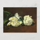 Nog steeds leven, White Peony van Edouard Manet Briefkaart (Voorkant)