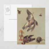 Nog steeds levenslange dode vogels en een muis, 17 briefkaart (Voorkant / Achterkant)