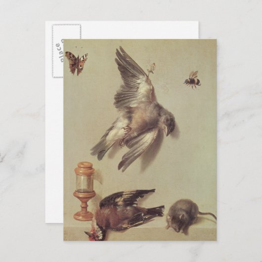 Nog steeds levenslange dode vogels en een muis, 17 briefkaart (Voorkant / Achterkant)