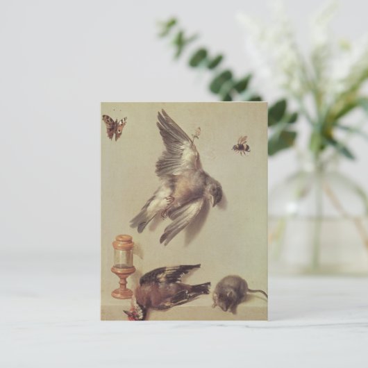 Nog steeds levenslange dode vogels en een muis, 17 briefkaart (Staand voorkant)
